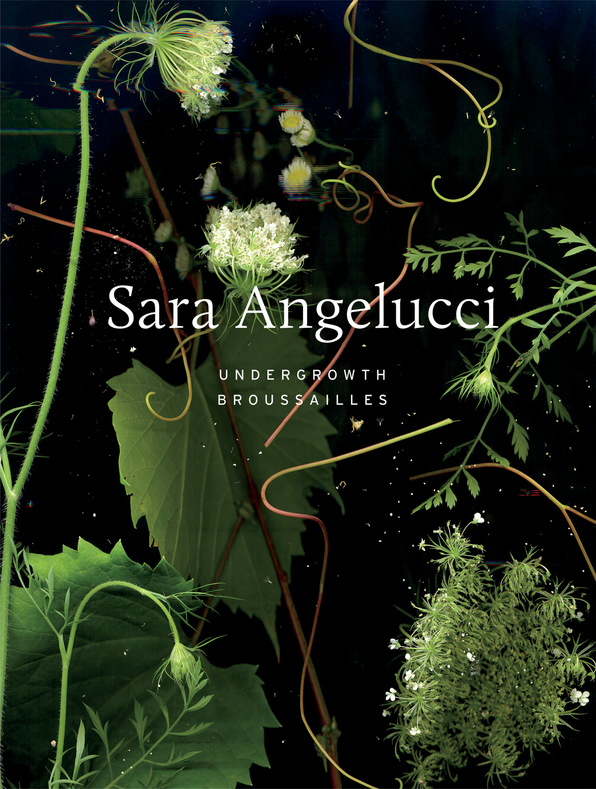     Sara Angelucci, Undergrowth / Broussailles, ECW Press, 2023

