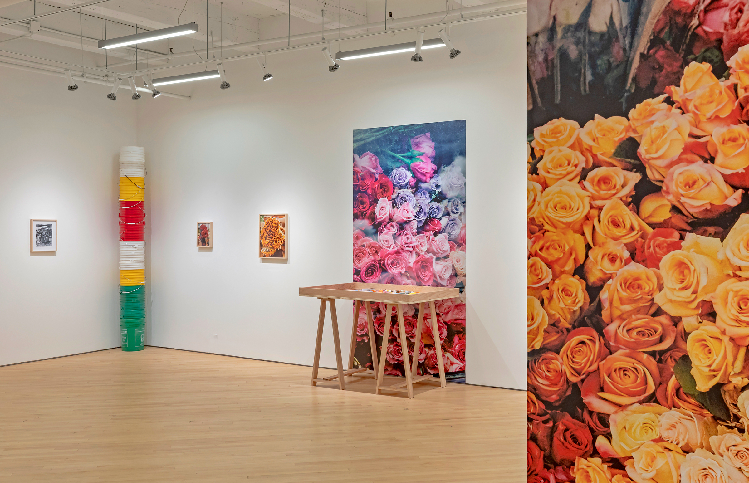     Installation view of Luis Mora, Say it with Flowers, Oct. 17–Nov. 30, 2019, CONTACT Gallery. Documentation photo by Toni Hafkenscheid.

