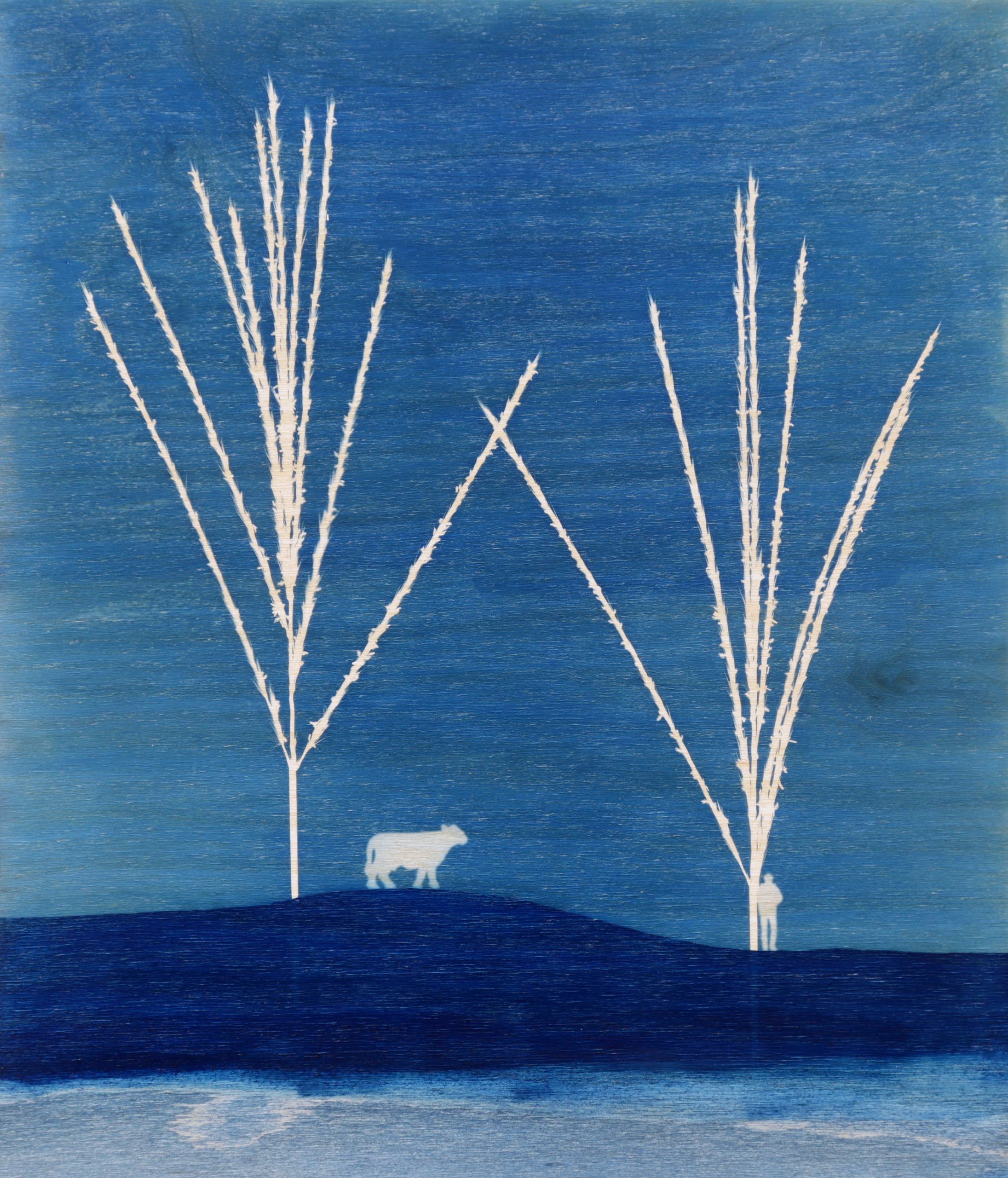     Peter Friedrichsen, Who is There?, cyanotype on birch ply, 2019

