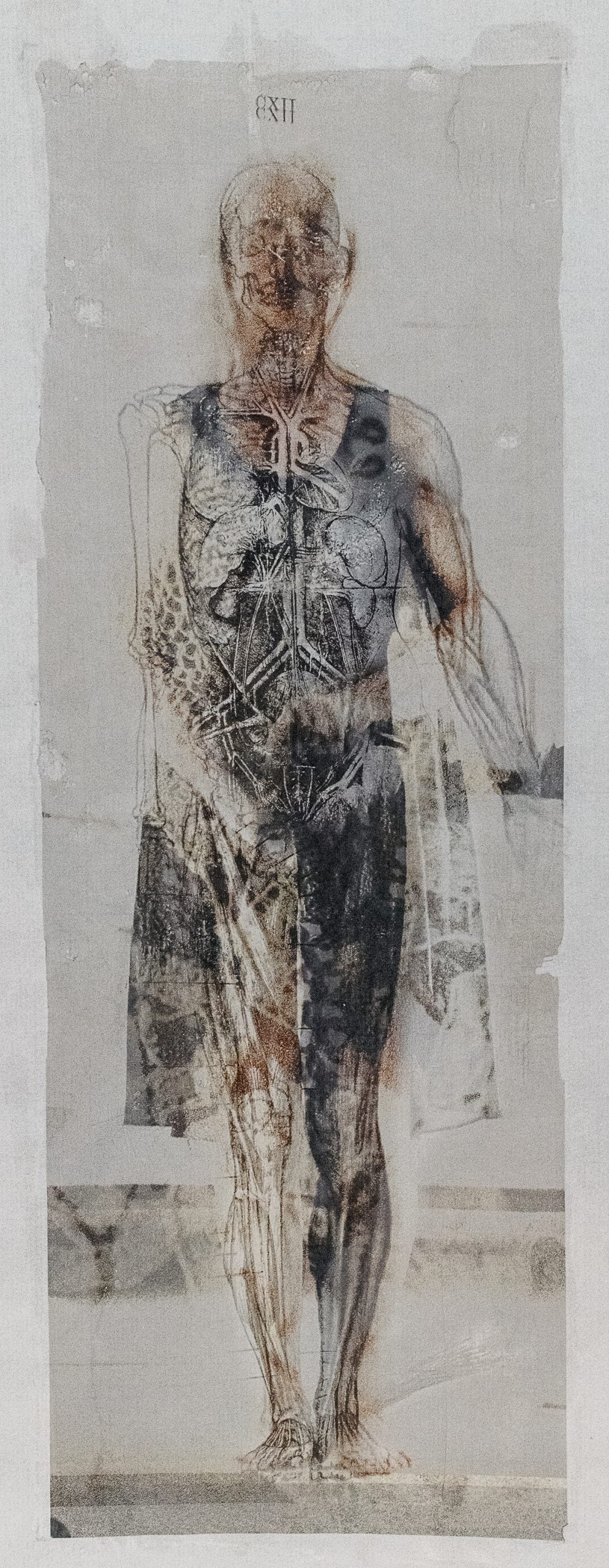     Peggy Taylor Reid, Internal Workings, 2019. Image transfer on washi paper.


