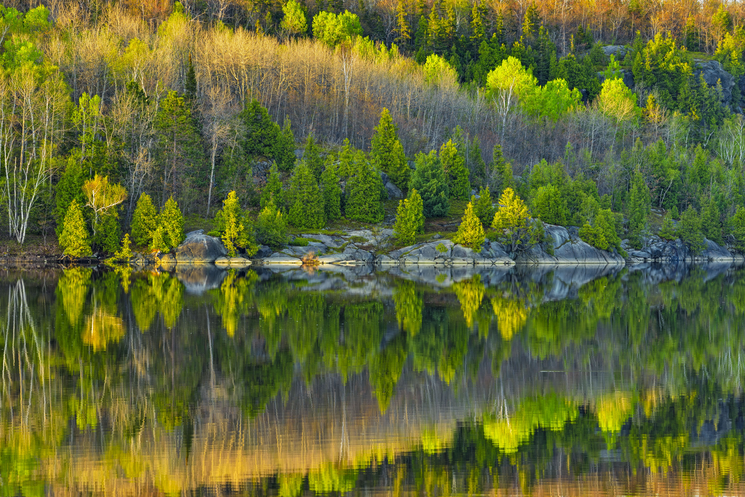     © Don Johnston, Spring Reflections in Simon Lake, 2019, Sudbury, Ontario

