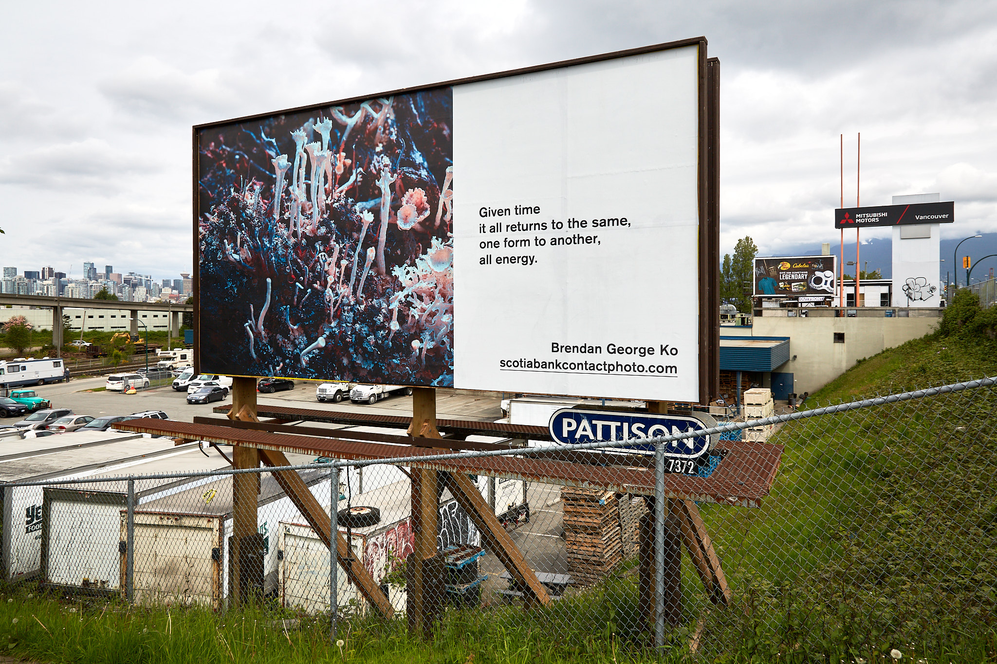     Brendan George Ko, The Forest is Wired for Wisdom, installation on billboards in Vancouver and 9 other Canadian cities, 2022. Courtesy of the artist and CONTACT. Photo: Seth Stevenson

