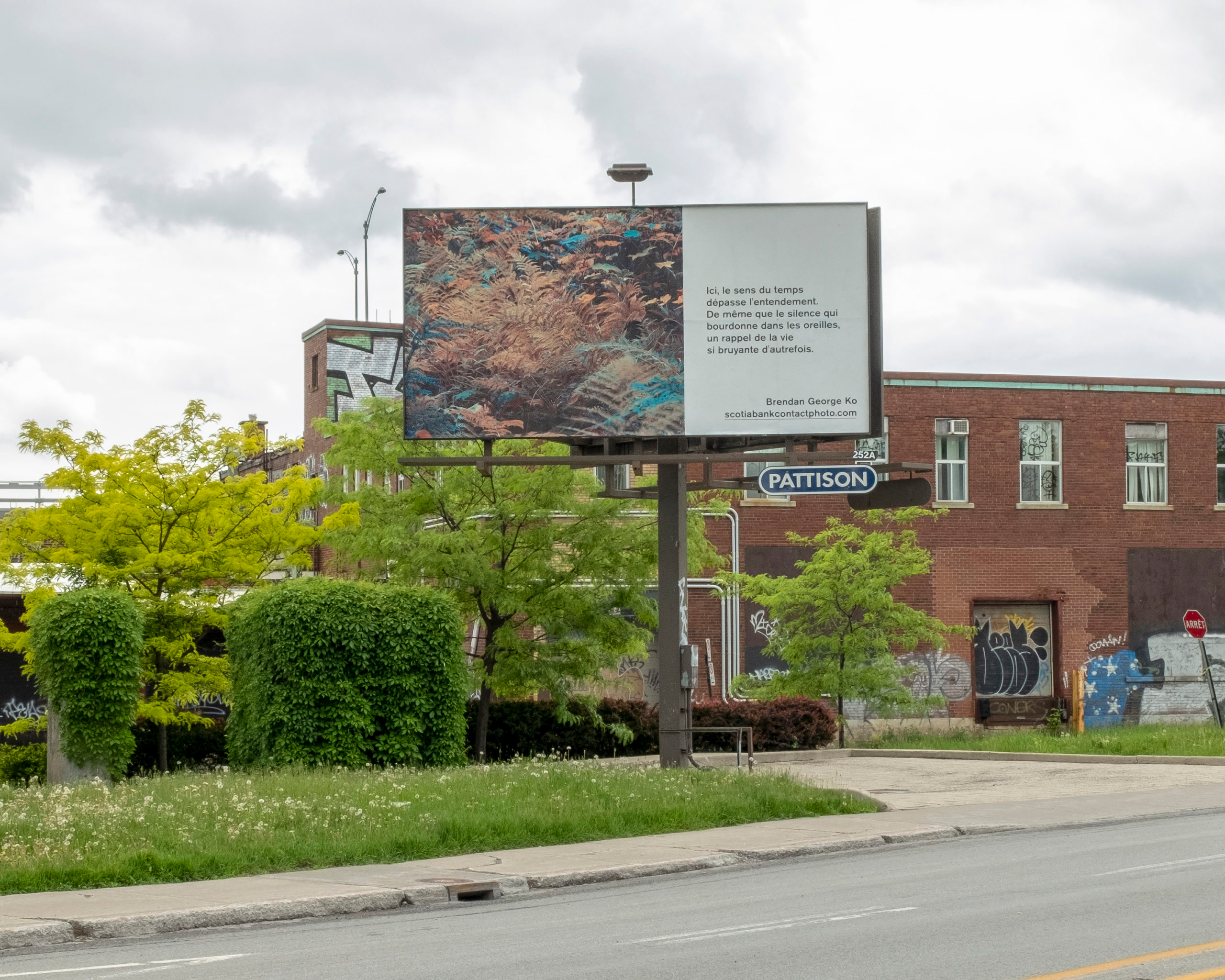     Brendan George Ko, The Forest is Wired for Wisdom, installation on billboards in Montreal and 9 other Canadian cities, 2022. Courtesy of the artist and CONTACT. Photo: Christopher Boyne

