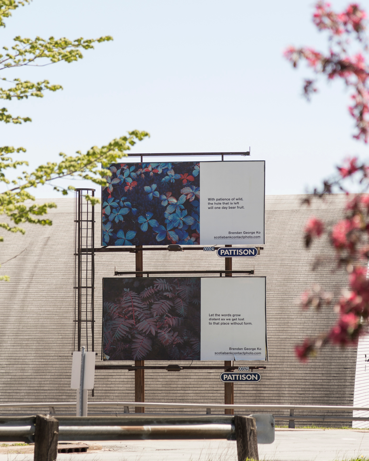     Brendan George Ko, The Forest is Wired for Wisdom, installation on billboards in Halifax and 9 other Canadian cities, 2022. Courtesy of the artist and CONTACT. Photo: Julia Nemfield

