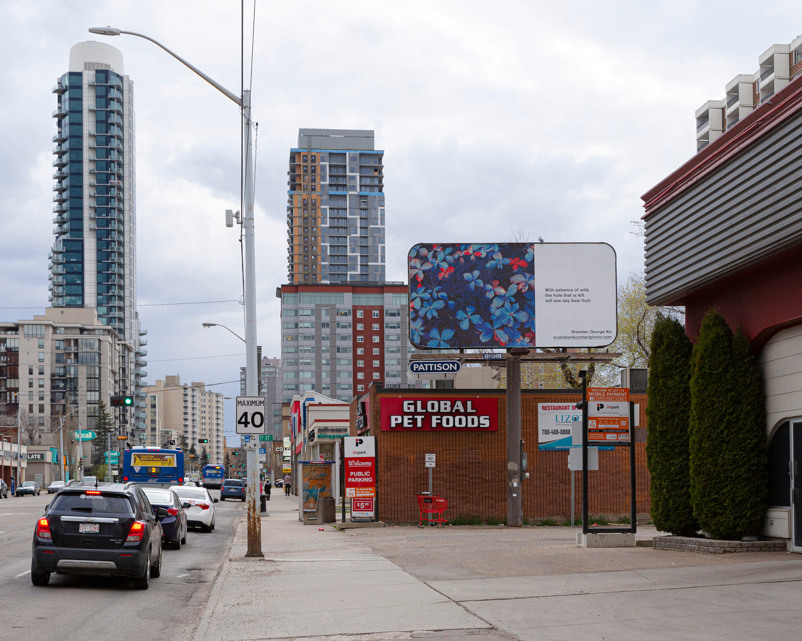     Brendan George Ko, The Forest is Wired for Wisdom, installation on billboards in Edmonton and 9 other Canadian cities, 2022. Courtesy of the artist and CONTACT. Photo: Julianna Damer

