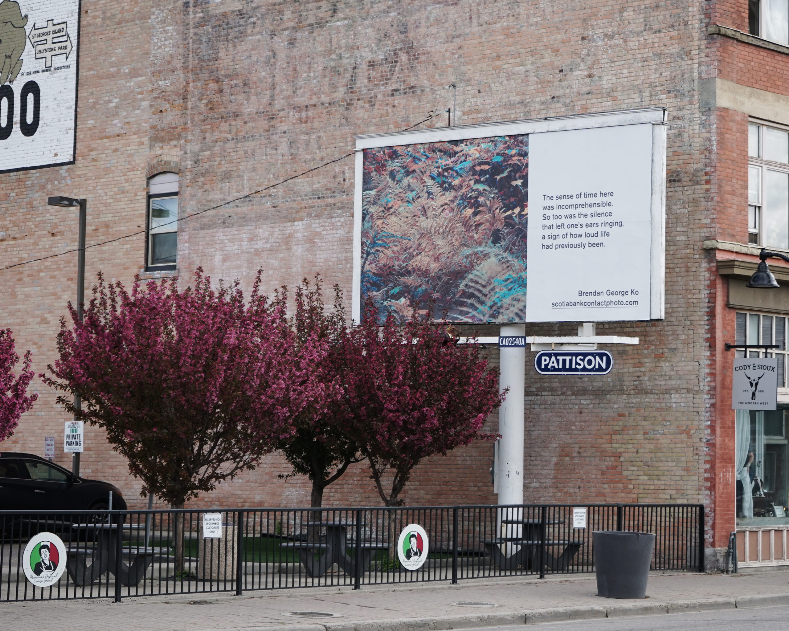     Brendan George Ko, The Forest is Wired for Wisdom, installation on billboards in Calgary and 9 other Canadian cities, 2022. Courtesy of the artist and CONTACT. Photo: Chelsee Ivan

