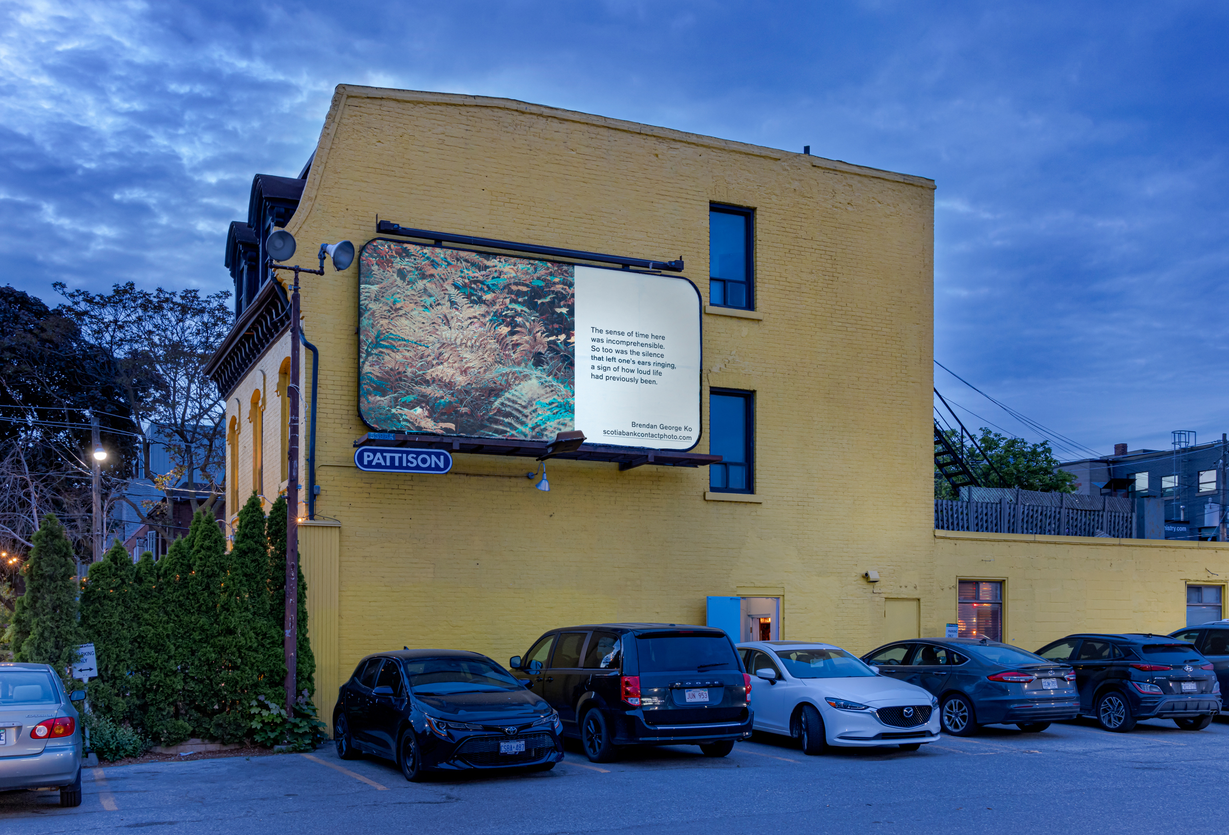     Brendan George Ko, The Forest is Wired for Wisdom, installation on billboards in Toronto and 9 other Canadian cities, 2022. Courtesy of the artist and CONTACT. Photo: Toni Hafkenscheid

