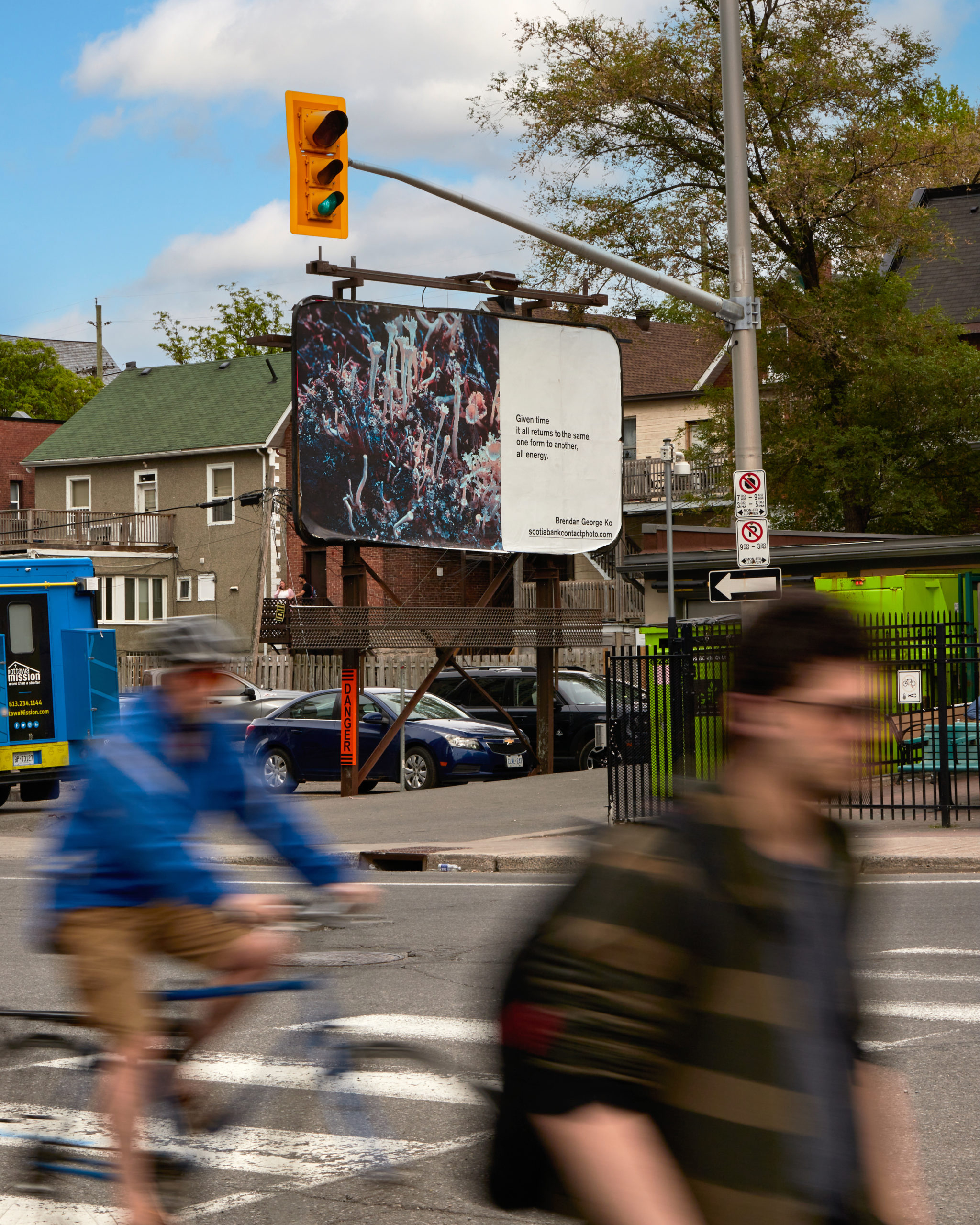     Brendan George Ko, The Forest is Wired for Wisdom, installation on billboards in Ottawa and 9 other Canadian cities, 2022. Courtesy of the artist and CONTACT. Photo: Kaya Comeau

