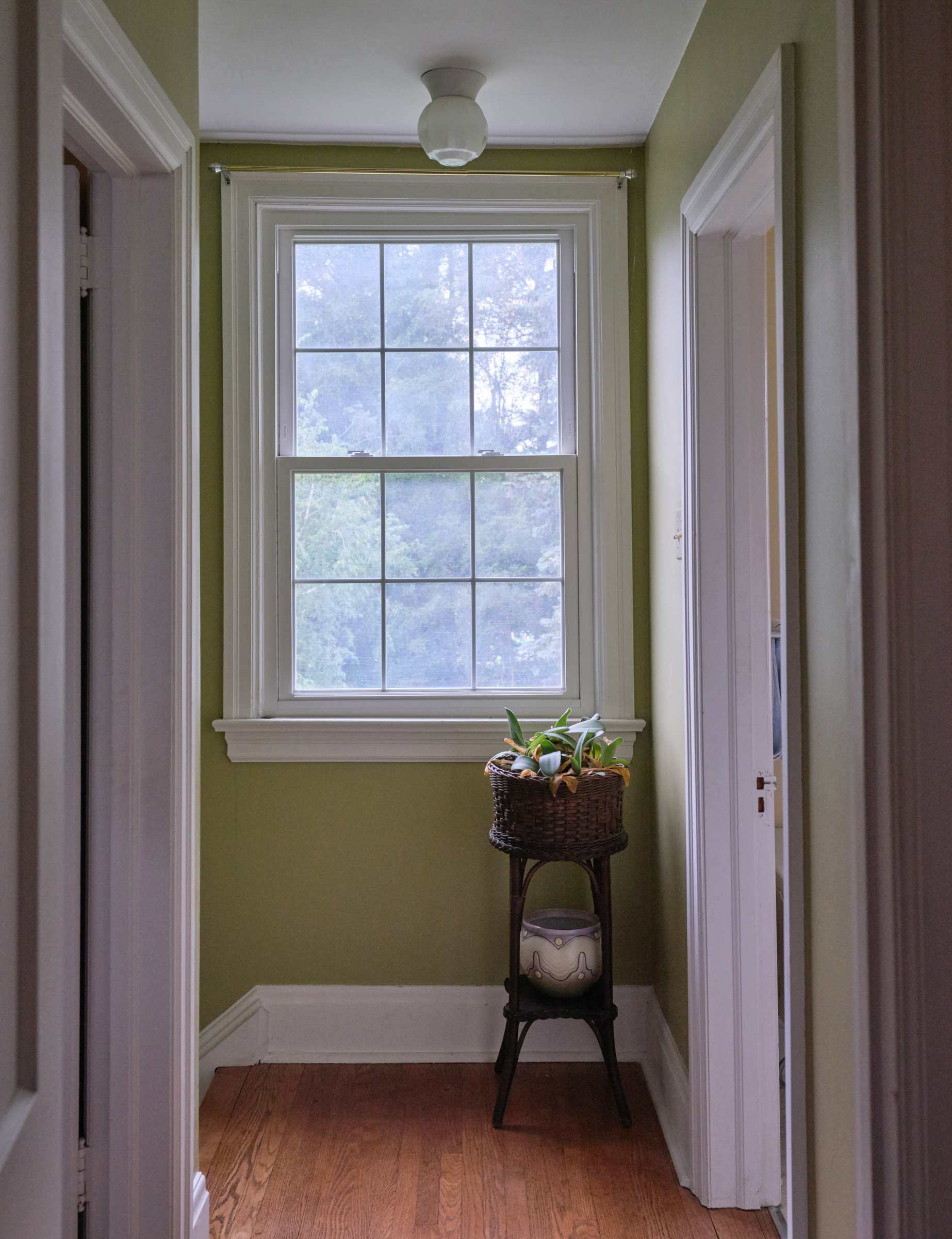     Steven Laurie, Planter Near Window, 2021, from the series Mother&#8217;s House. Courtesy of the artist

