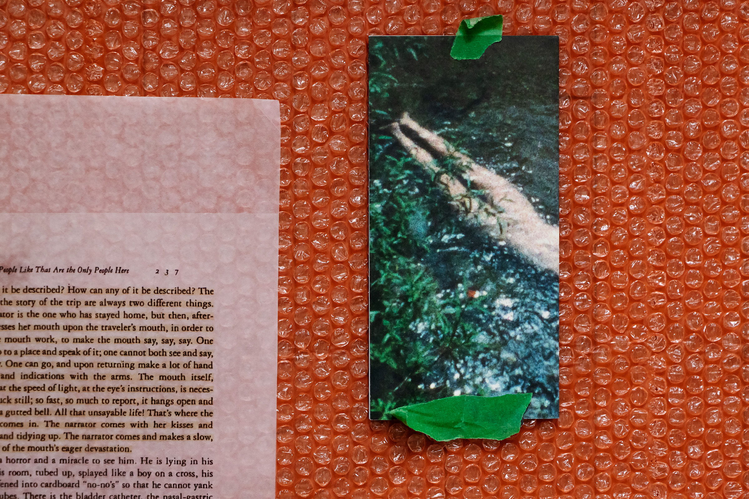    Zahra Komeylian, Raw Silk and Uncut Wood, (detail) (catalog image of Ana Mendieta&#8217;s Creek (1974), bubble wrap, glassine, acetate print), from the series Water over marsh, 2022. Courtesy of the artist

