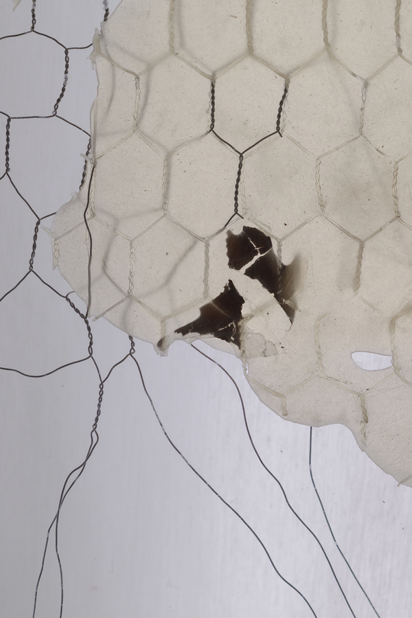 monica maria moraru, Untitled, installation detail (dragonskin, calea zacatechichi (bitter grass), wire), An Ant in the Mouth of a Furnace, 2022. Courtesy of the artist
